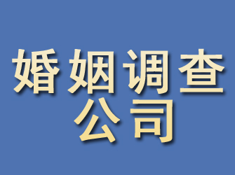 尚义婚姻调查公司